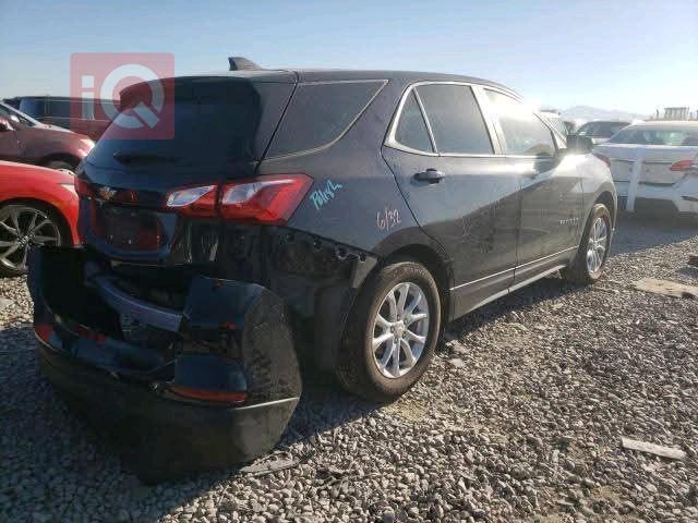 شيفروليه ايكونس